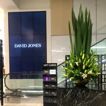 David Jones floral display